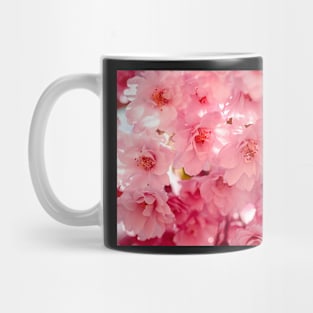 Double cherry blossoms Mug